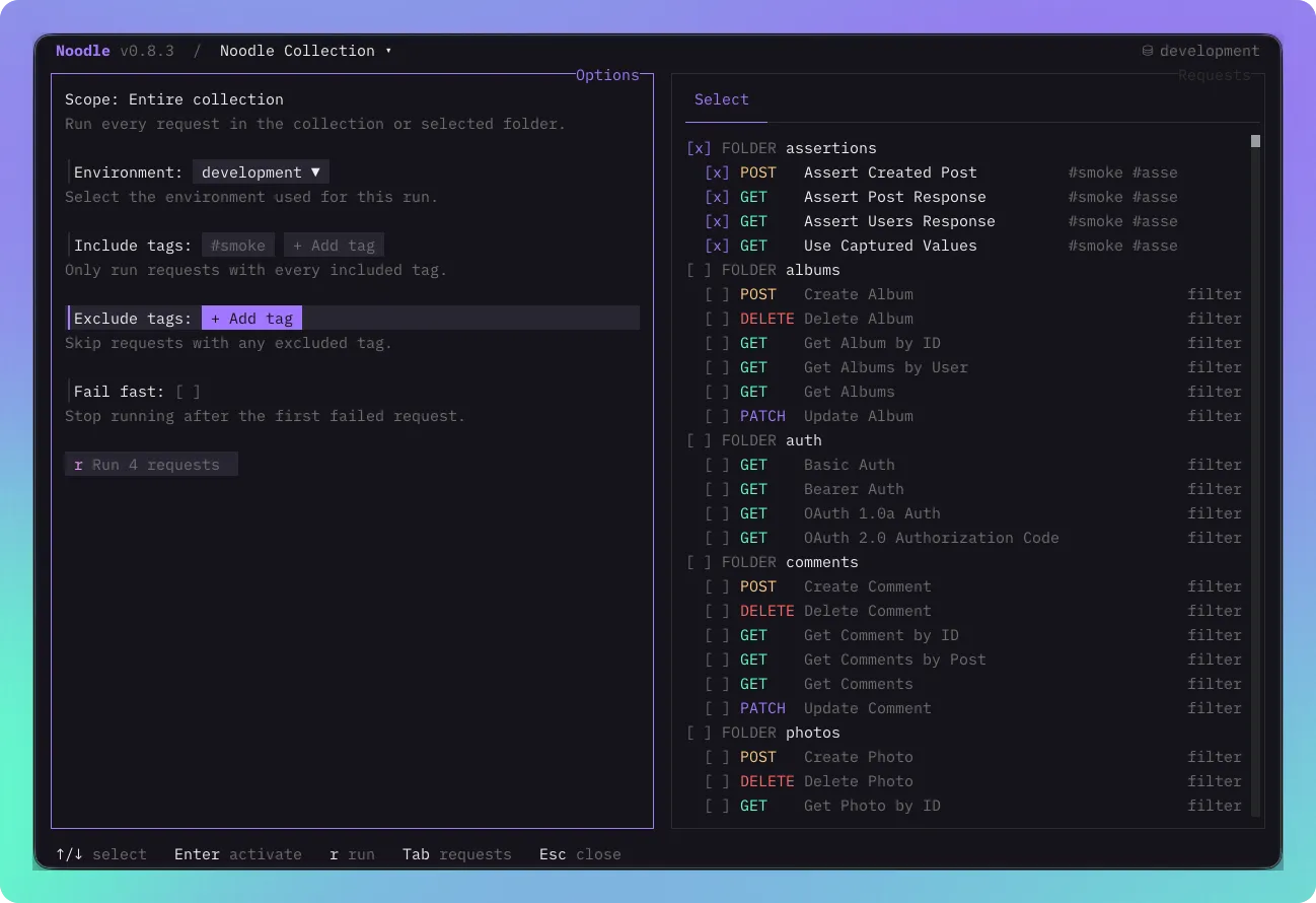 Noodle collection Runner with environment, tag, fail-fast, request, and folder selection controls